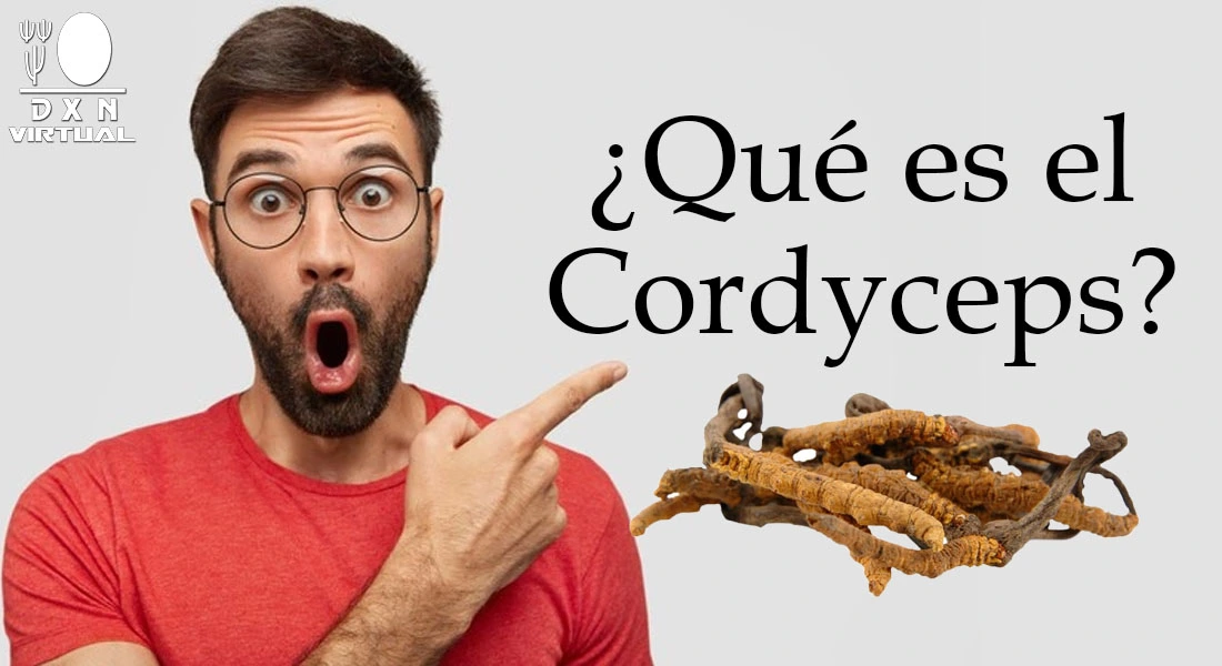 EL CORDYCEPS Y EL COVID-19